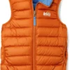 REI Co-op Reversible 650 Down Vest - Toddlers' -REI CO-OP Sales 1ccc166e e47c 4401 bc83 dfa15c04f442