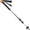 REI Co-op Hiker Power Lock Staff - Single -REI CO-OP Sales 62c64d43 4f1c 4257 a421 1c1575c92be6