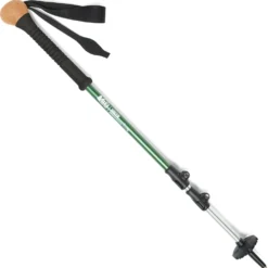 REI Co-op Hiker Power Lock Staff - Single