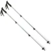 REI Co-op Trailbreak Print Trekking Poles - Pair