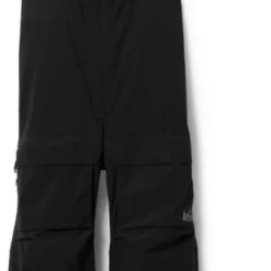 REI Co-op First Chair GTX Bib Snow Pants - Men's Short Sizes